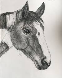 Easy simple pencil drawing ideas unixpaint. Pencil Easy Sketch Of Horse Peepsburgh