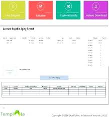 Accounts Payable Aging Schedule Template Of Receipt Website