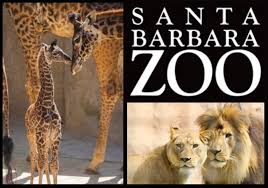 Hours, address, ventura park reviews: The Santa Barbara Zoo Re Opens To The Public On June 23 By Reservation Macaroni Kid Camarillo Ventura Oxnard