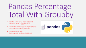 pandas percene total with groupby