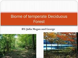 biome of rate deciduous forest
