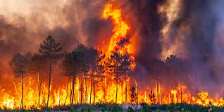 Feux de forêts en Gironde : 19.300 hectares brûlés, 37.000 personnes  évacuées, situation non fixée