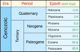 5b The Miocene Timeline