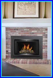 24 fireplace insert replacement