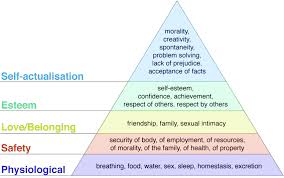 Maslows Hierarchy Of Human Needs Finkelstein 2006