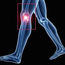 Tendons attach the muscles to each other. Knee Mri Scan Acl Mri Scan Meniscus Mri Scan Access Mri