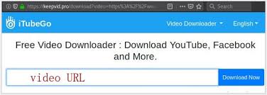 Youtube video download ss url trick. How To Save Videos From Youtube To Your Devices Free Guide 2021