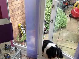 Doggy Door Alternative Locklatch