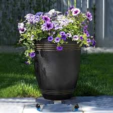 Plant Caddy With Casters
