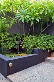 melville courtyards tropical garden