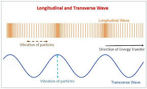 seismic waves shadow zone of p waves