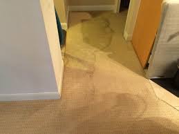 Got Flooded Basement Got Wet Carpet