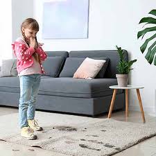 carpet and upholstery cleaning boise