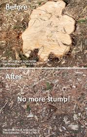 Aka tree removal has been providing professional tree services to the atlanta area for nearly 20 years. Tree Service Buford Ga Tree Removal Service