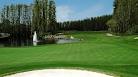 Saddlebrook Golf Club - Florida Golf Course Review