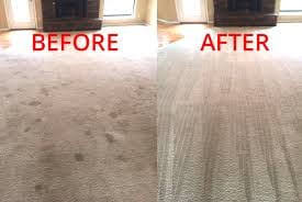 carpet cleaning methods steam n dry