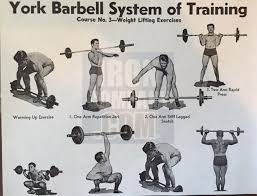 York Barbell System Of Training Charts Circa 1938 Iron Company