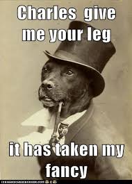 dog hump day memes | Wish to be Affectionate With It | Dogs my ... via Relatably.com