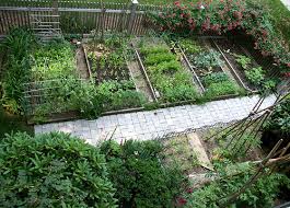 rustic vegetable garden ideas