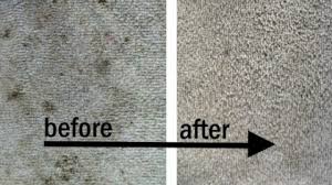 effective diy carpet stain remover