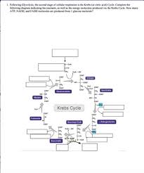 Answered 1 Following Glycolysis The