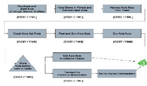 Flow Diagram Of Cola Nut Business Activity In Cameroon