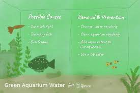 causes and cures for green aquarium water