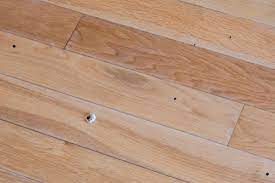 termite on your wood flooring