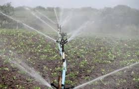 Best Irrigation System For Vegetable