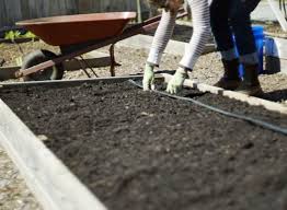 Garden Soils Best Prepared In January