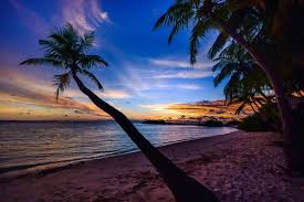 4k ultra hd sunset wallpapers. 100 000 Best Beach Sunset Photos 100 Free Download Pexels Stock Photos