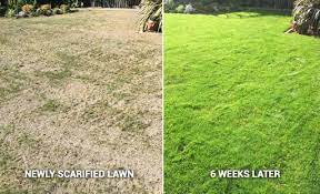 scarifying and dethatching