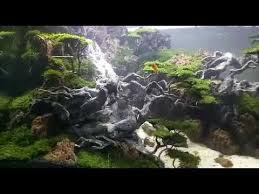 Misalnya, tema air terjun, kehidupan bawah laut, pegunungan, dan lain sebagainya. Air Terjun Jokondo Kondo Youtube Aquascape Waterfall Aquarium Aquascape Aquarium
