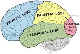 traumatic brain injury symptoms