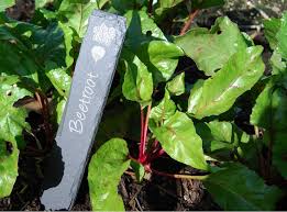 Vegetable Garden Slate Plant Markers