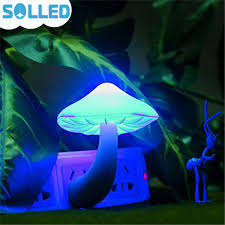 Solled Small Led Lava Lamps Portable Mushroom Night Light Bedside Wall Lamp Blue Light Mushroom Night Light Night Lightmushroom Night Aliexpress