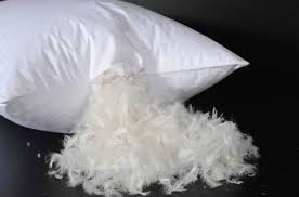 Bulu domba yang telah diambil kemudian dapat diolah menjadi sejenis senyawa bernama lanolin. Konstruksi Bantal Yang Kita Pakai Tidur Info Bantal Indonesia