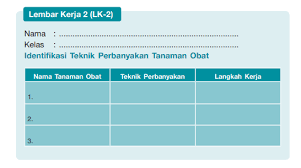 Kunci Jawaban Prakarya Kelas 7 Halaman 96 Semester 2, LK 2 Identifikasi  Teknik Perbanyakan Tanaman Obat - Ringtimes Bali gambar png