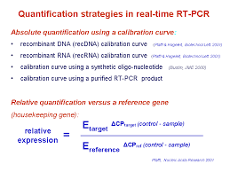 gene quantification real time pcr