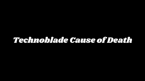 Technoblade Cause of Death, How did ...