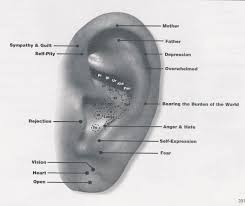 Auricular Acupuncture Chart Ear Human Anatomy Body
