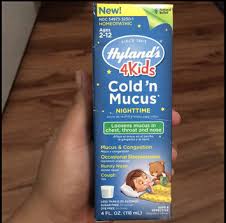Hylands Hylands 4kids Cold N Mucus Nighttime 4 Oz