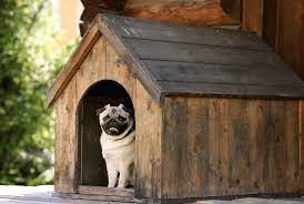 Cool Dog House Building Plans