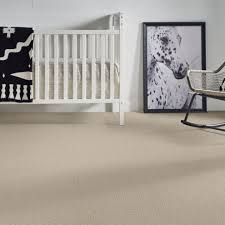 anderson tuftex on point carpet