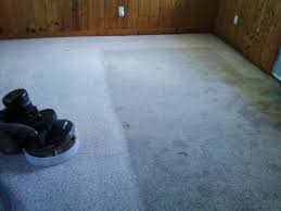 carpet cleaners colorado springs