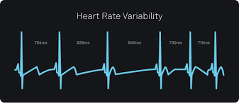 what is rate variability hrv