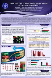 Research Poster Presentation Template Beautiful Poster Session