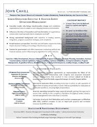 Executive Resume Sample Chief Operating Officer Executive