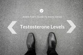 Testosterone Levels Made Simple Guide To Gains