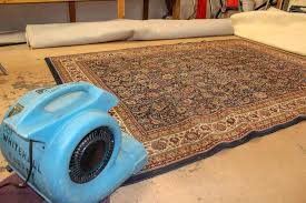 professional area rug cleaning service